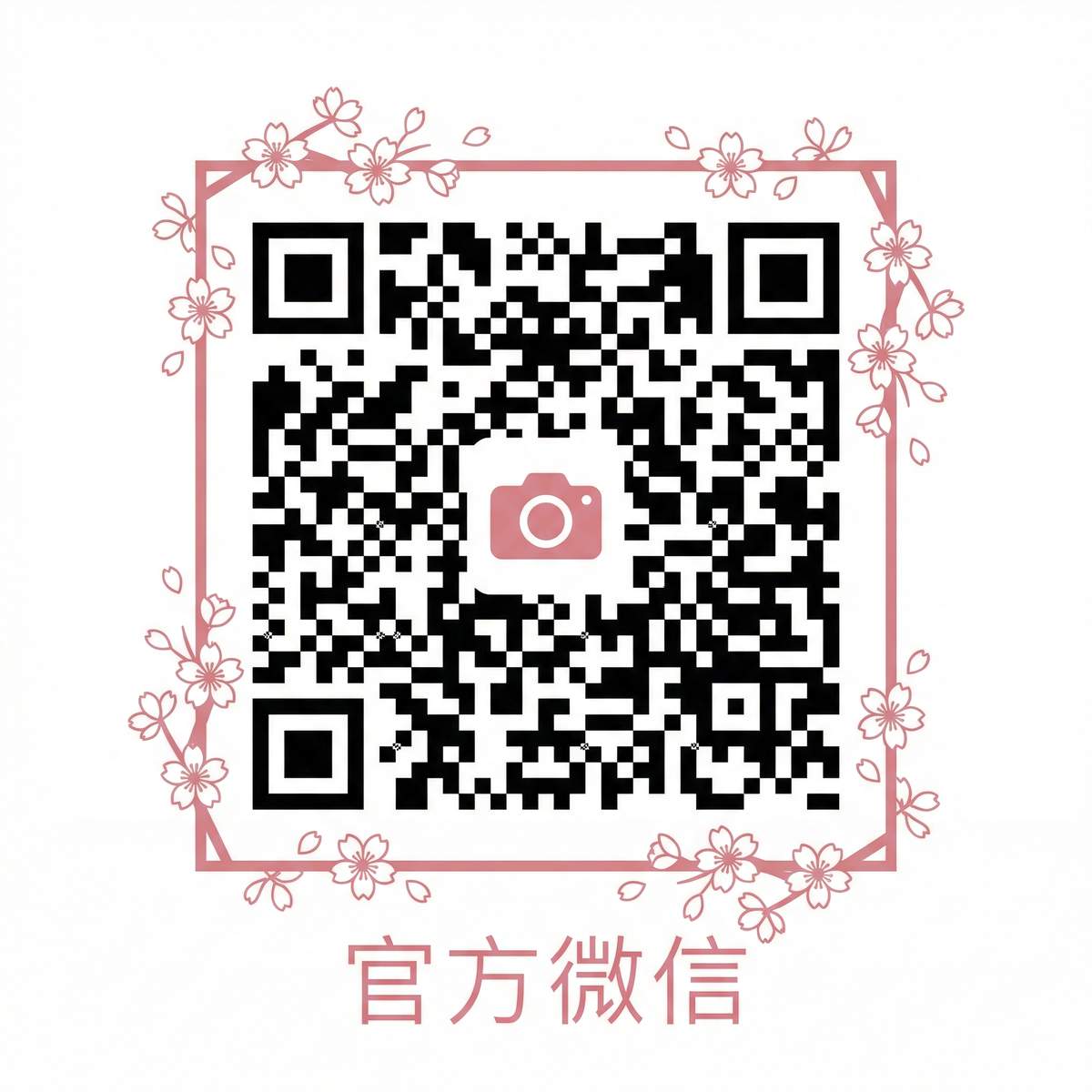 媚黑公众号二维码